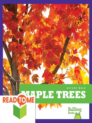 cover image of Maple Trees